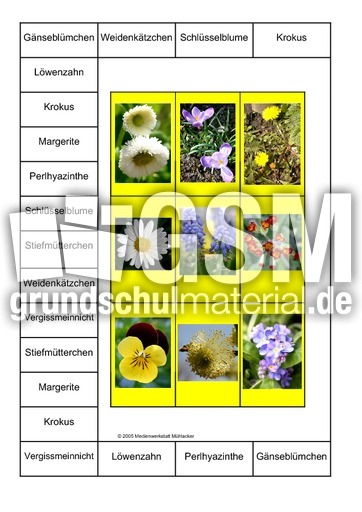 Bingo-Frühlingsblumen-2A.pdf